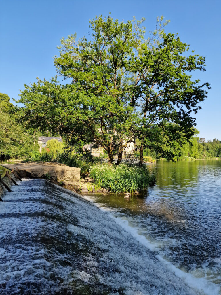 cadre de vie à Bourg-des-Comptes en Ille-et-Vilaine site de la Courbe